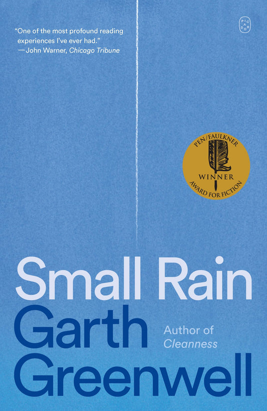 Small Rain book cover