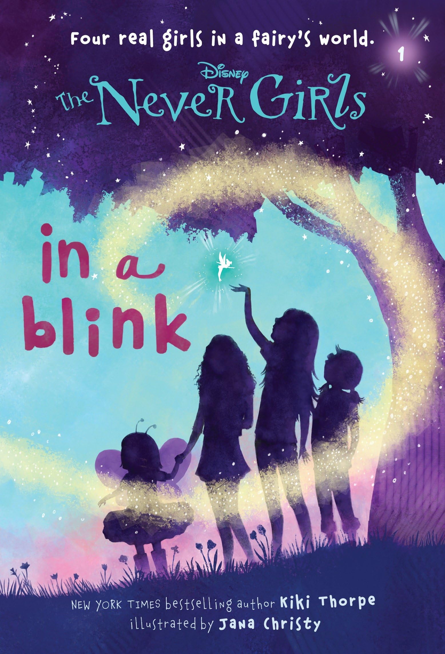 Never Girls #1: In a Blink (Disney: The Never Girls) book cover