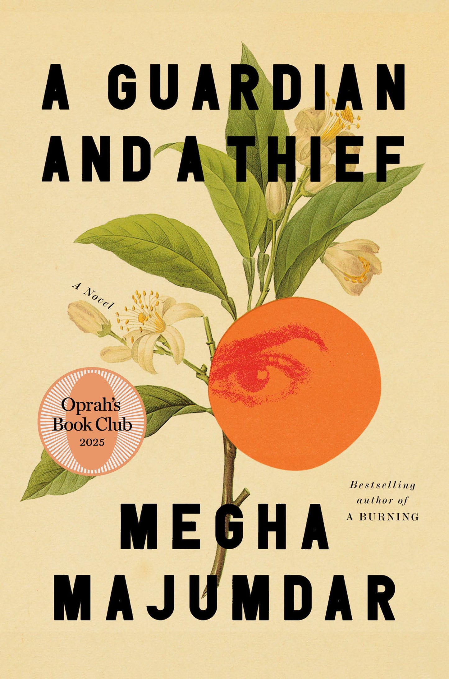 A Guardian and a Thief book cover