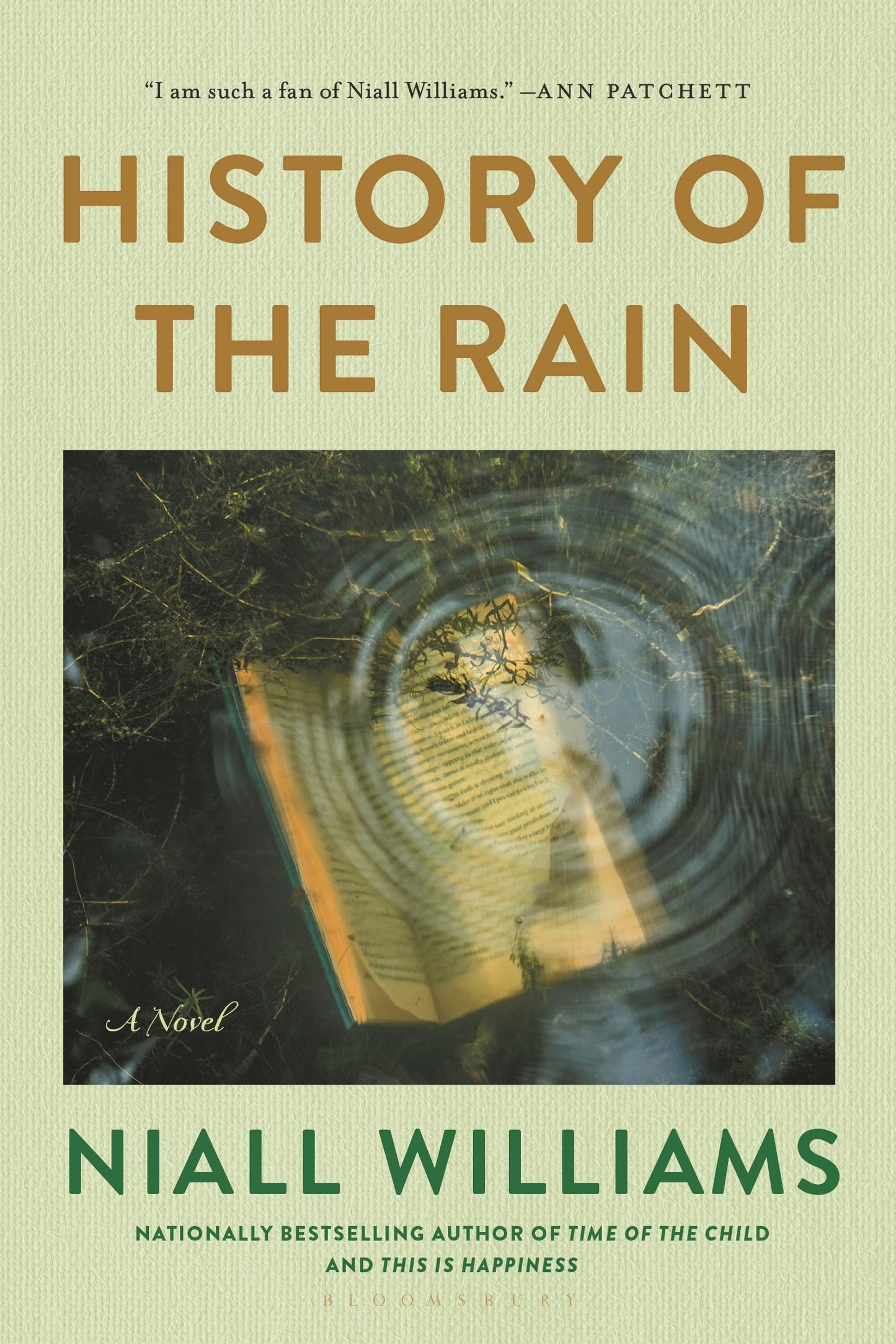 History of the Rain book cover