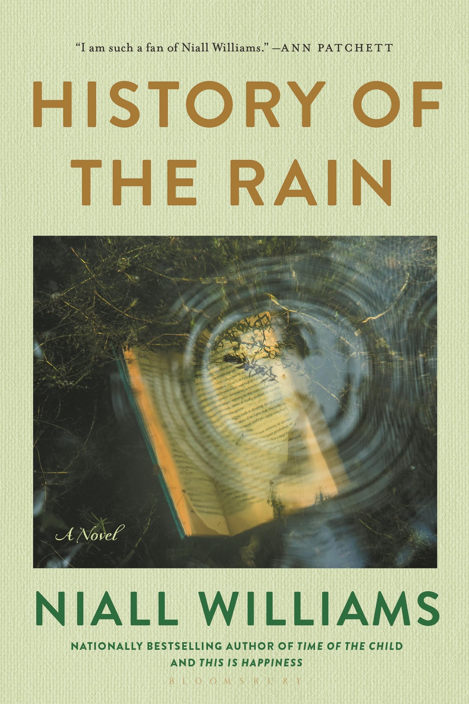 History of the Rain book cover