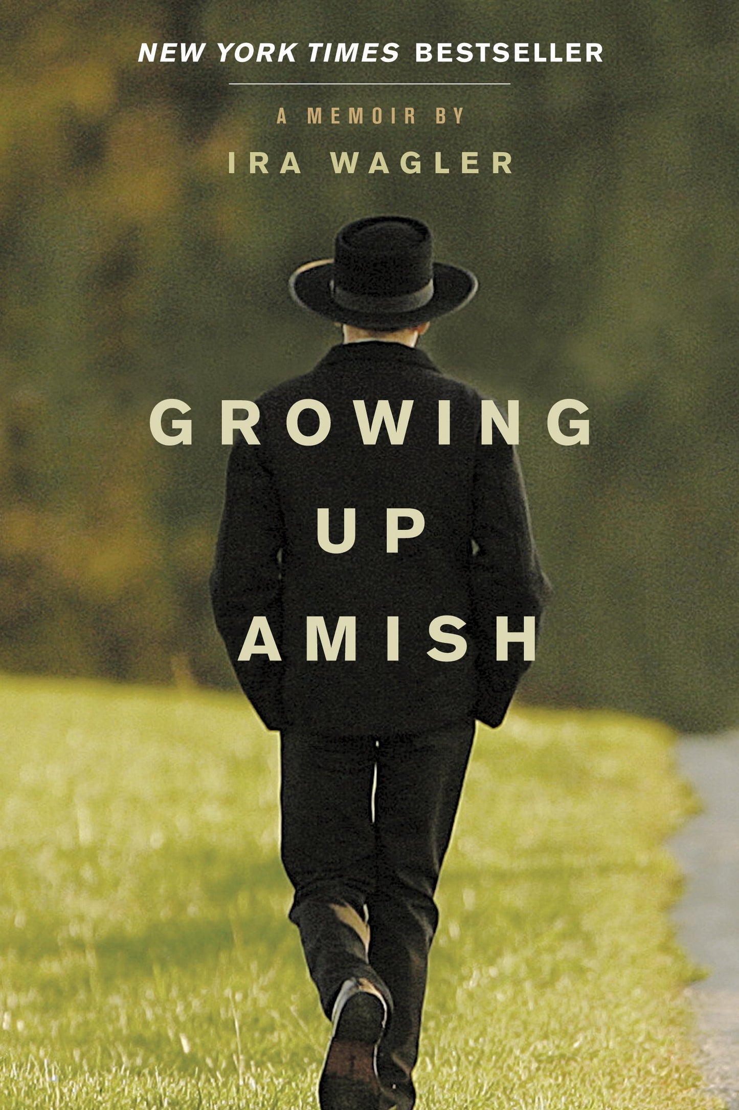 Growing Up Amish: A Memoir book cover