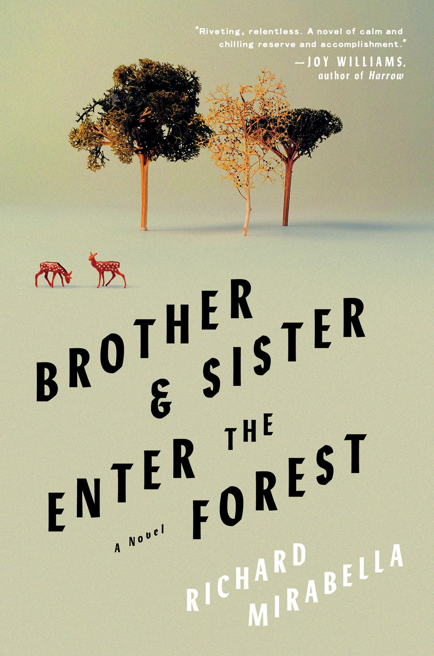 Brother & Sister Enter the Forest book cover