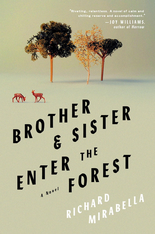 Brother & Sister Enter the Forest book cover