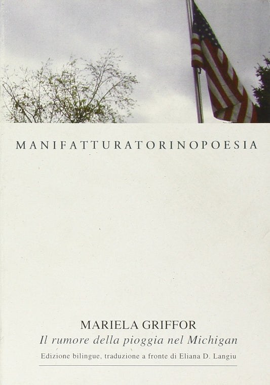 Il rumore della pioggia nel Michigan.