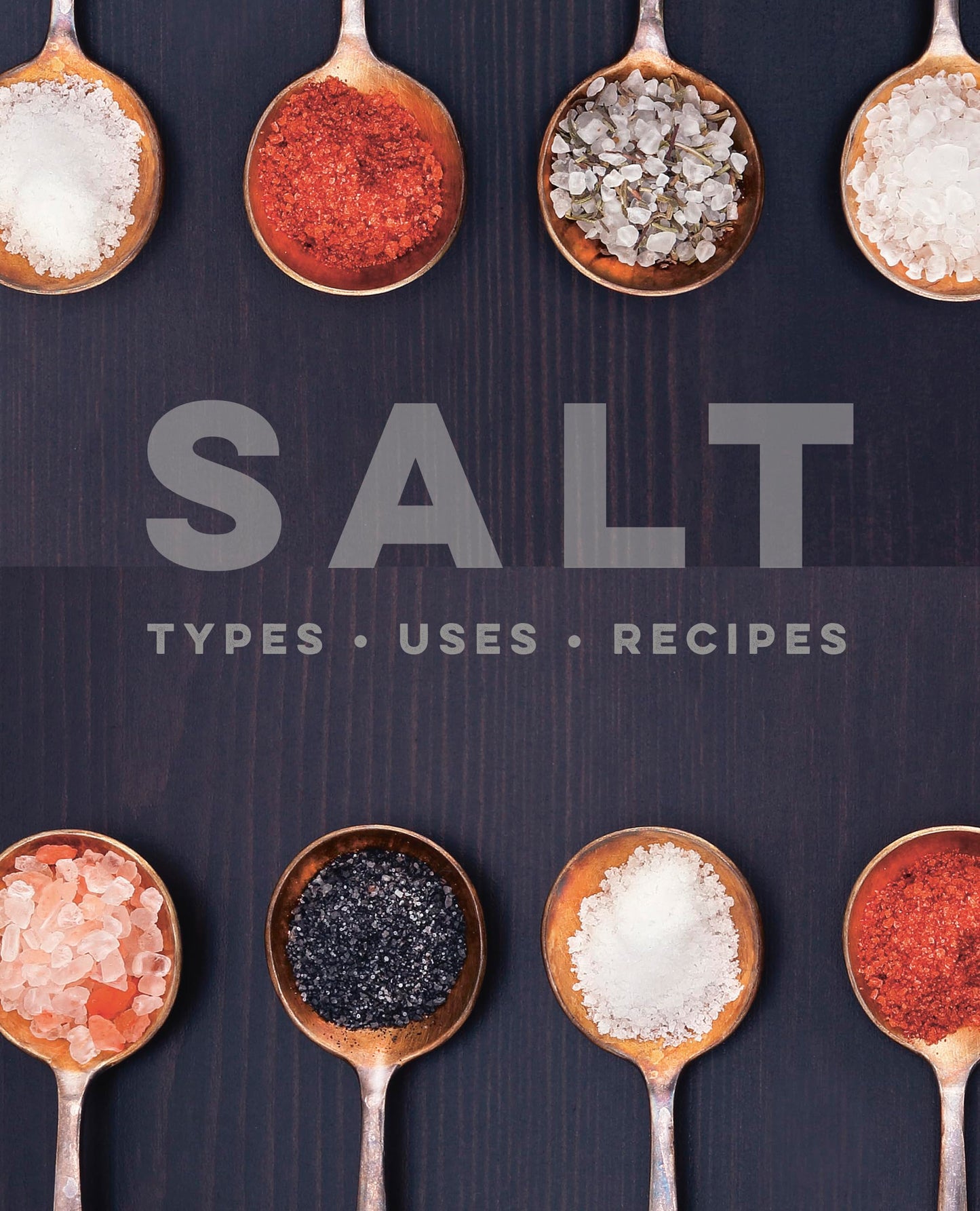 Salt: Types - Uses - Recipes book cover