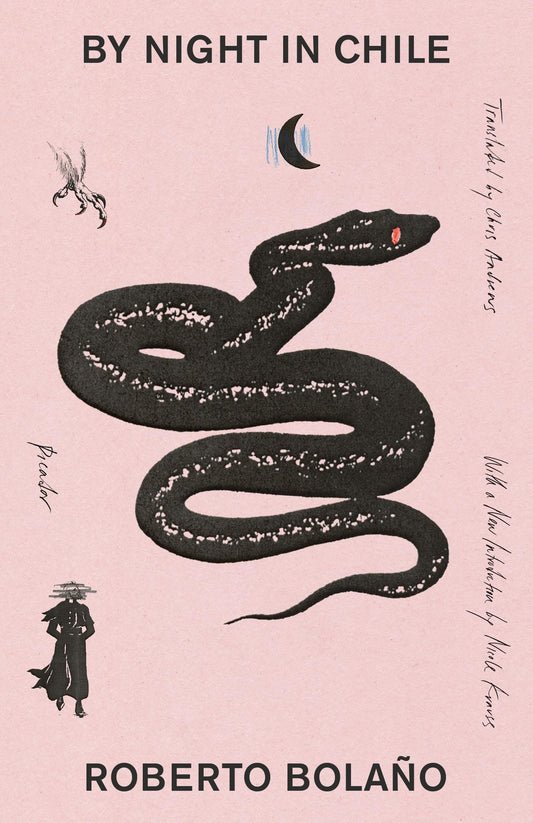 By Night in Chile book cover