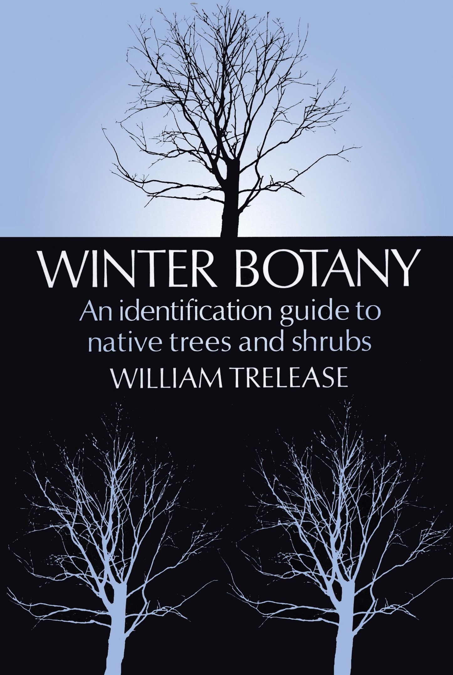 Winter Botany