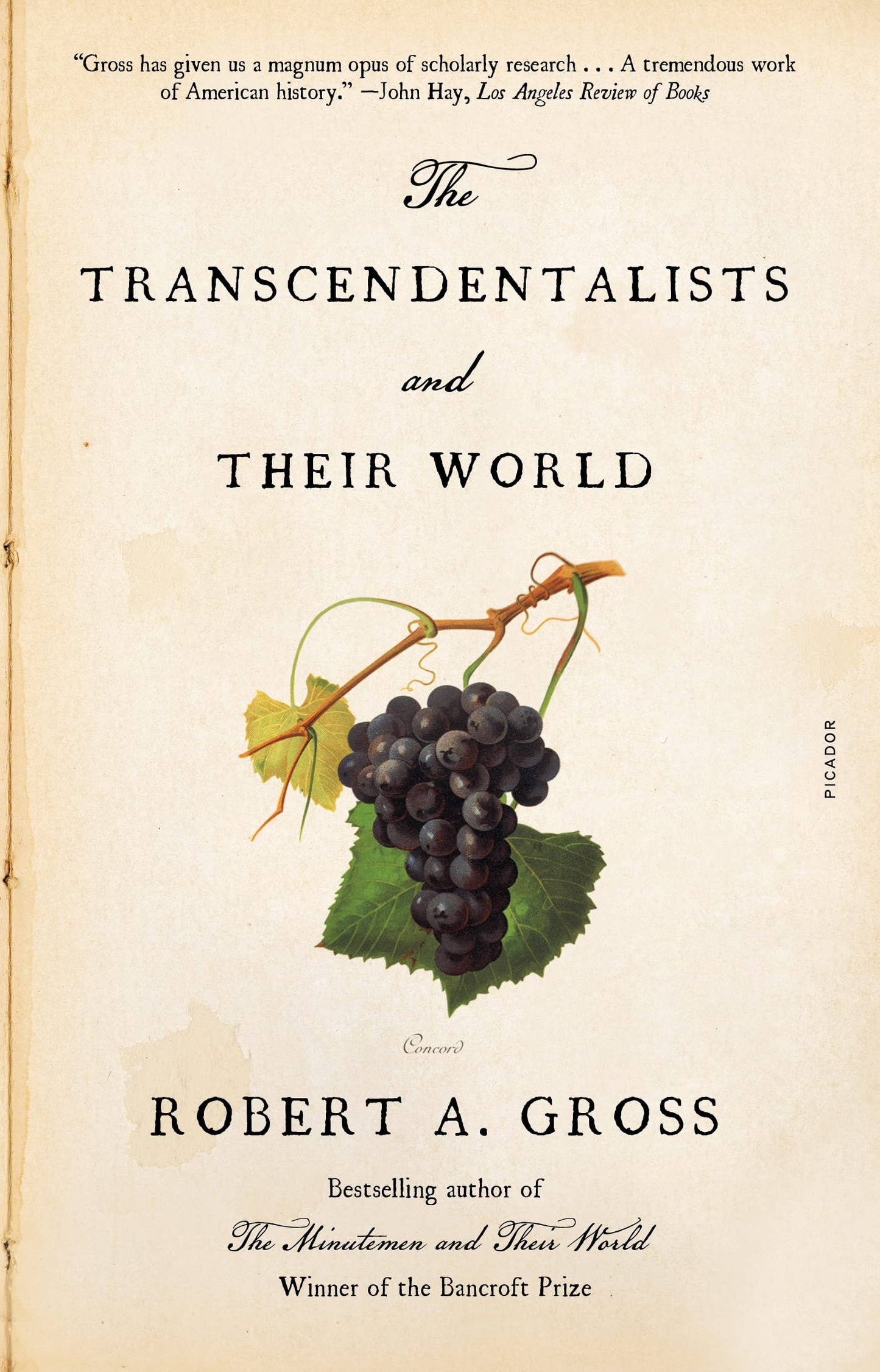 Transcendentalists and Their World book cover