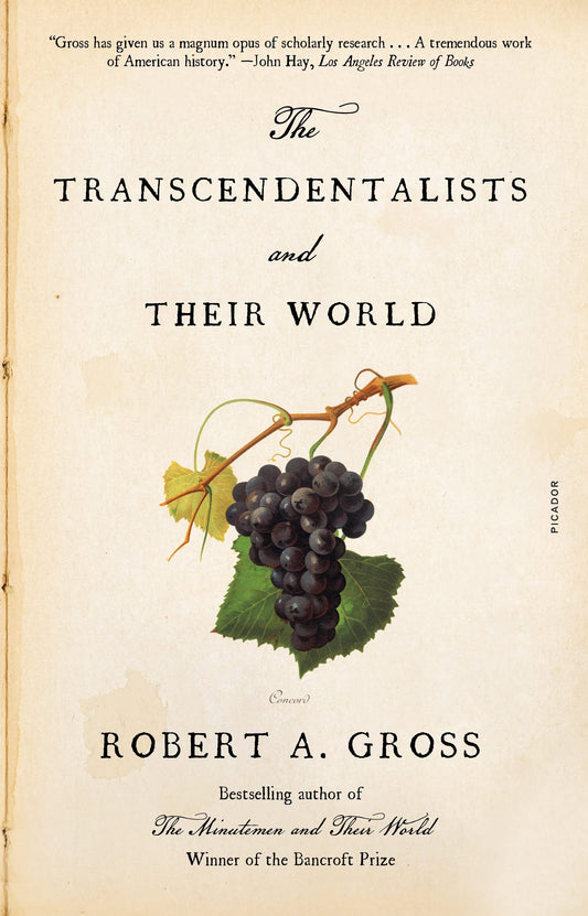Transcendentalists and Their World book cover