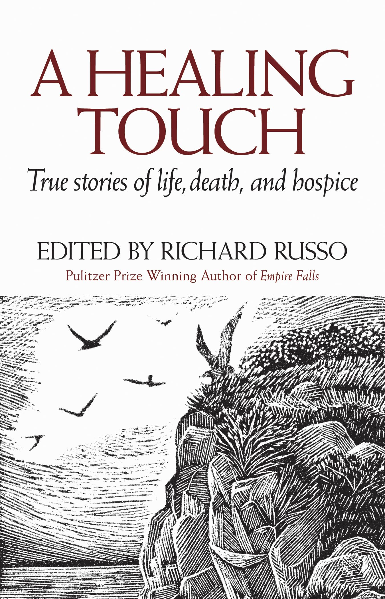 Healing Touch: True Stories of Life, Death, and Hospice book cover