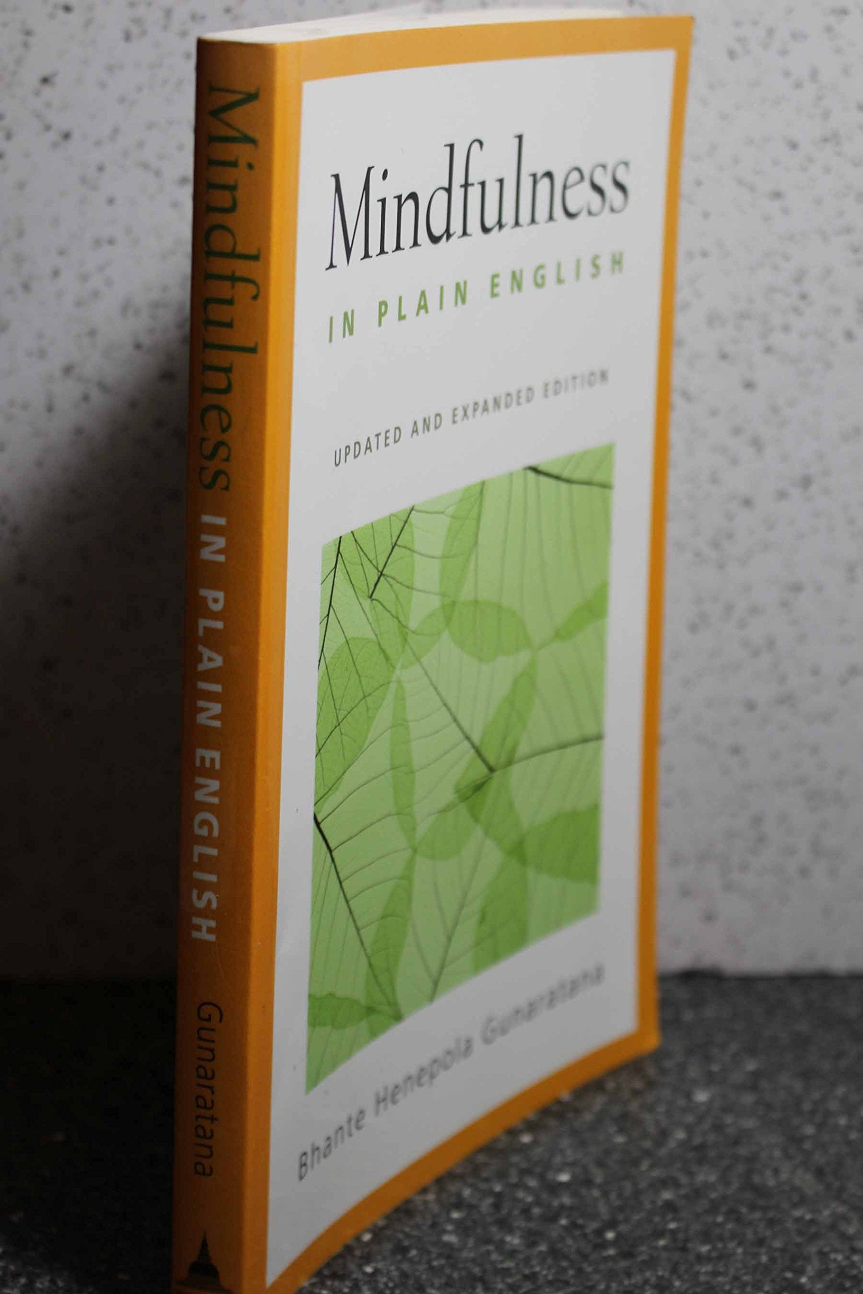 Mindfulness in Plain English (Updated & Expanded) book cover