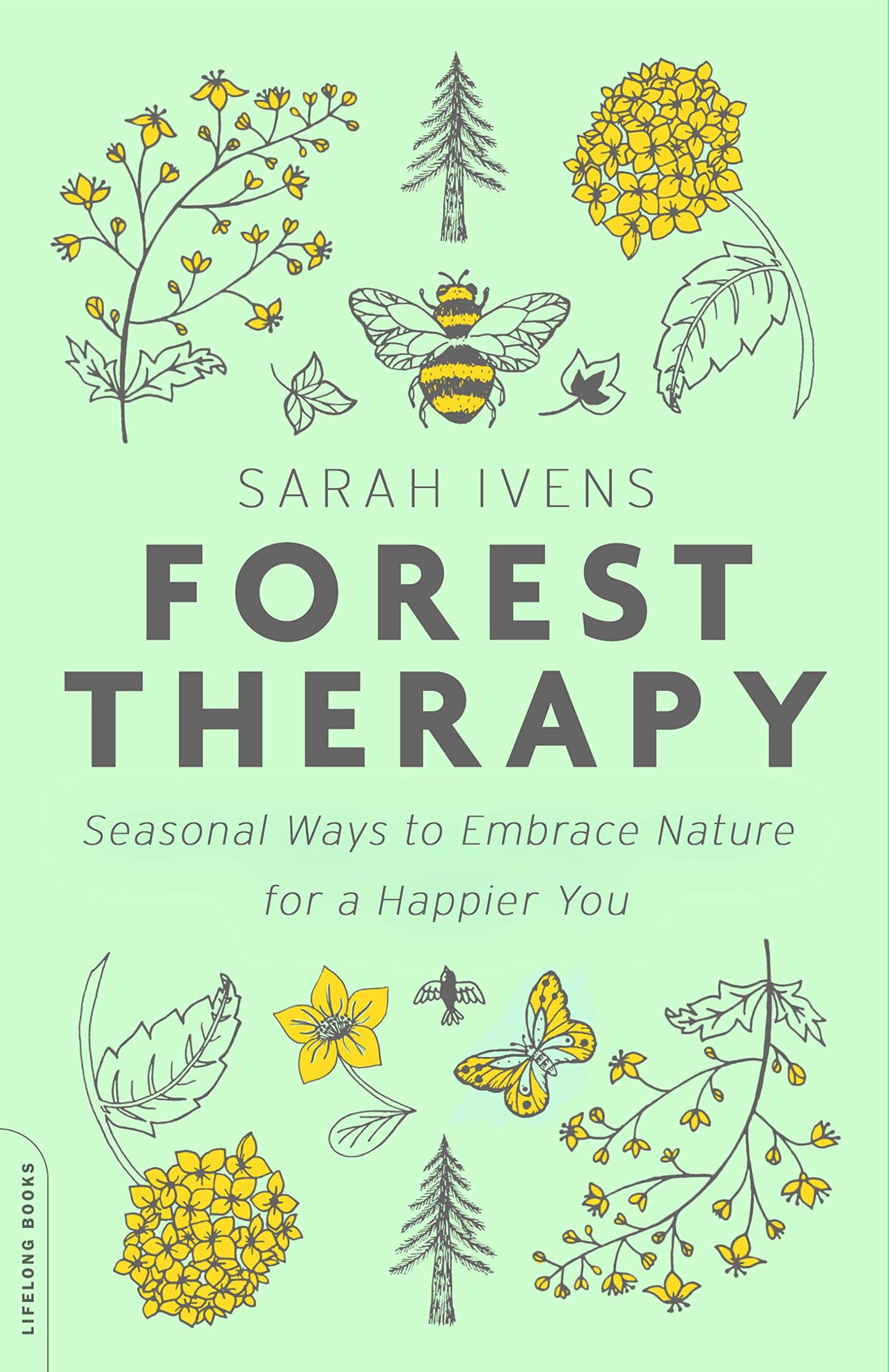 Forest Therapy: Seasonal Ways to Embrace Nature for a Happier You