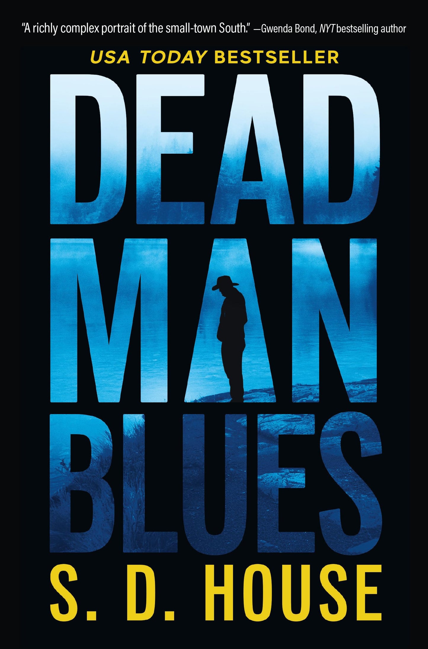 Dead Man Blues book cover