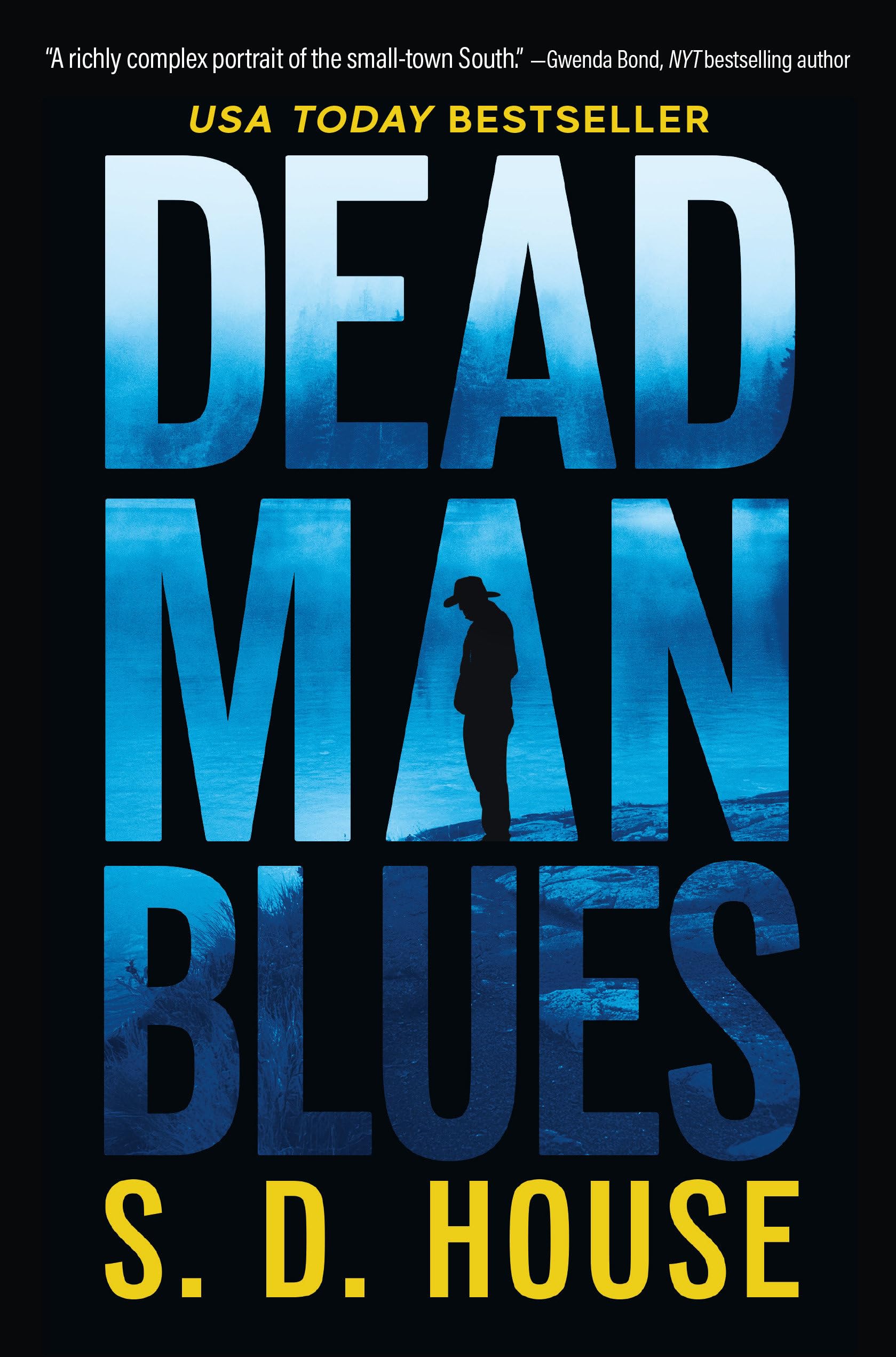 Dead Man Blues book cover