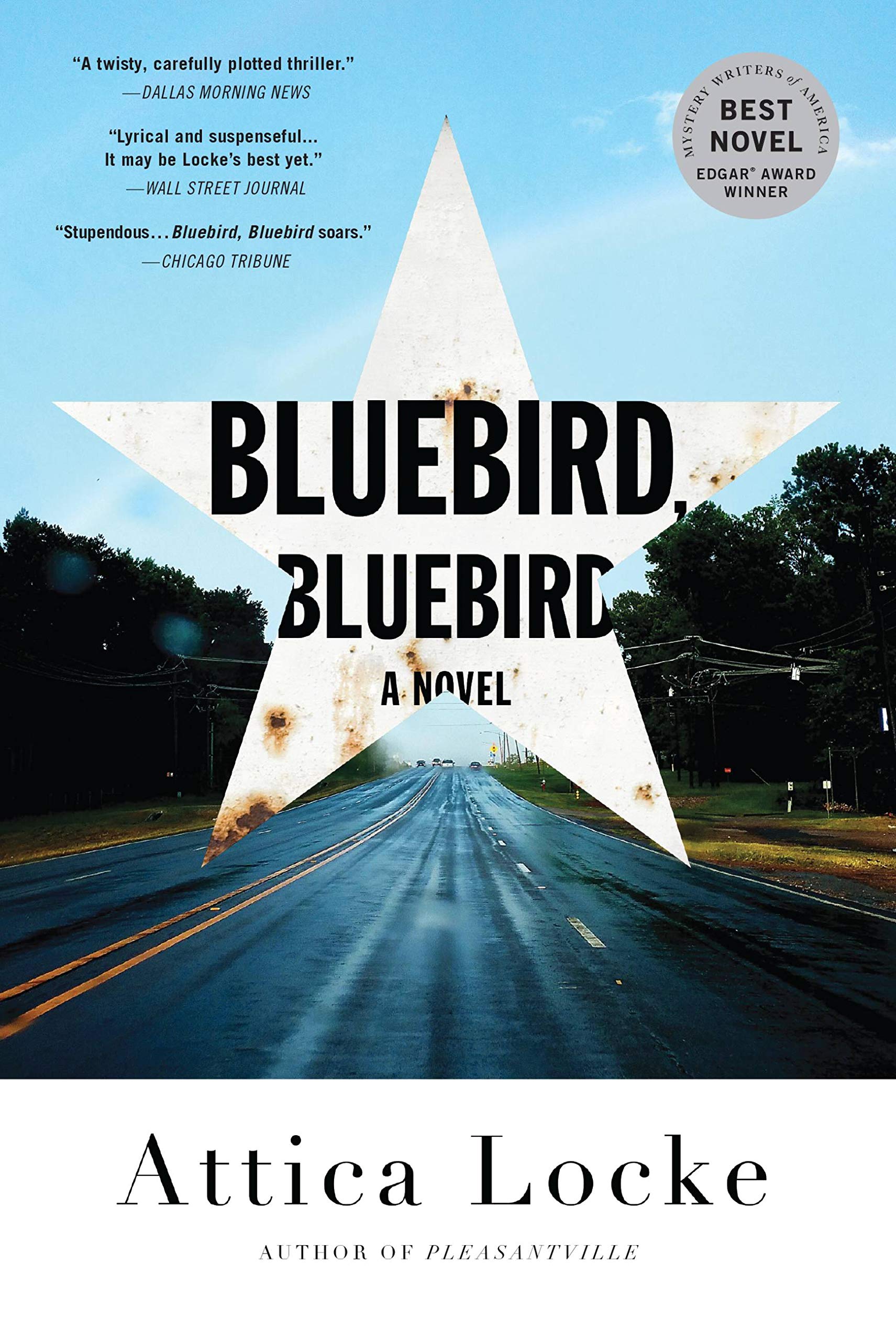 Bluebird, Bluebird book cover