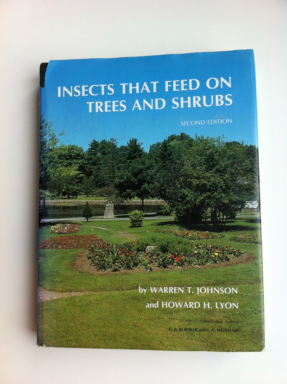 Insects That Feed on Trees and Shrubs: Exotic European Travel Writing, 400-1600 (Revised) book cover
