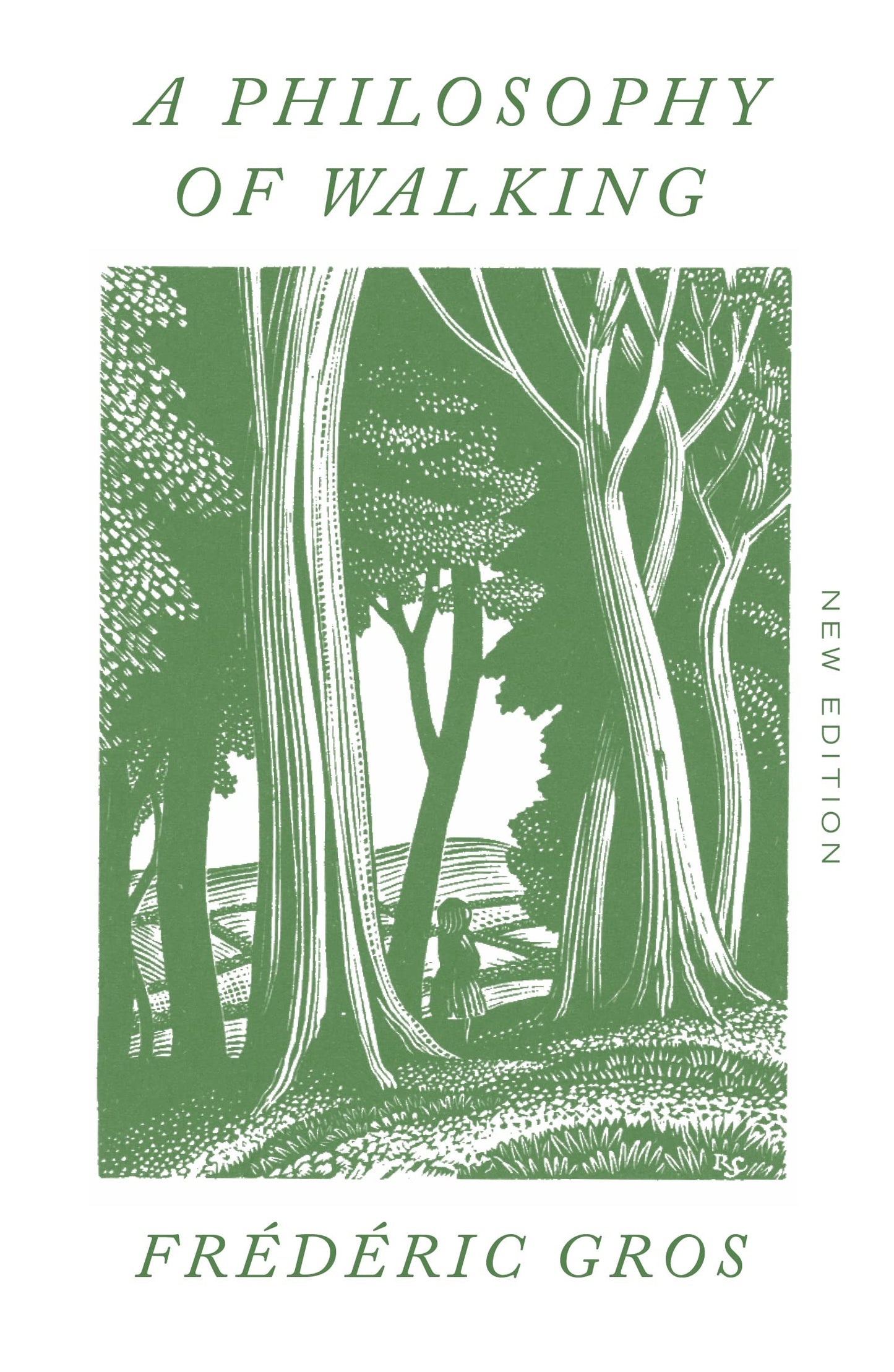 Philosophy of Walking book cover