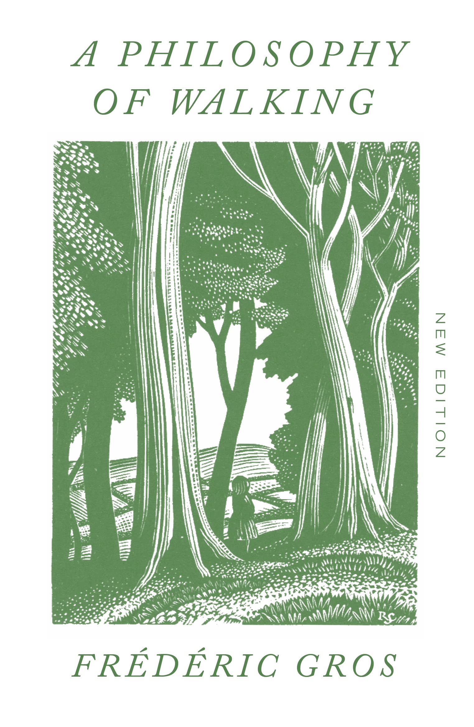Philosophy of Walking book cover
