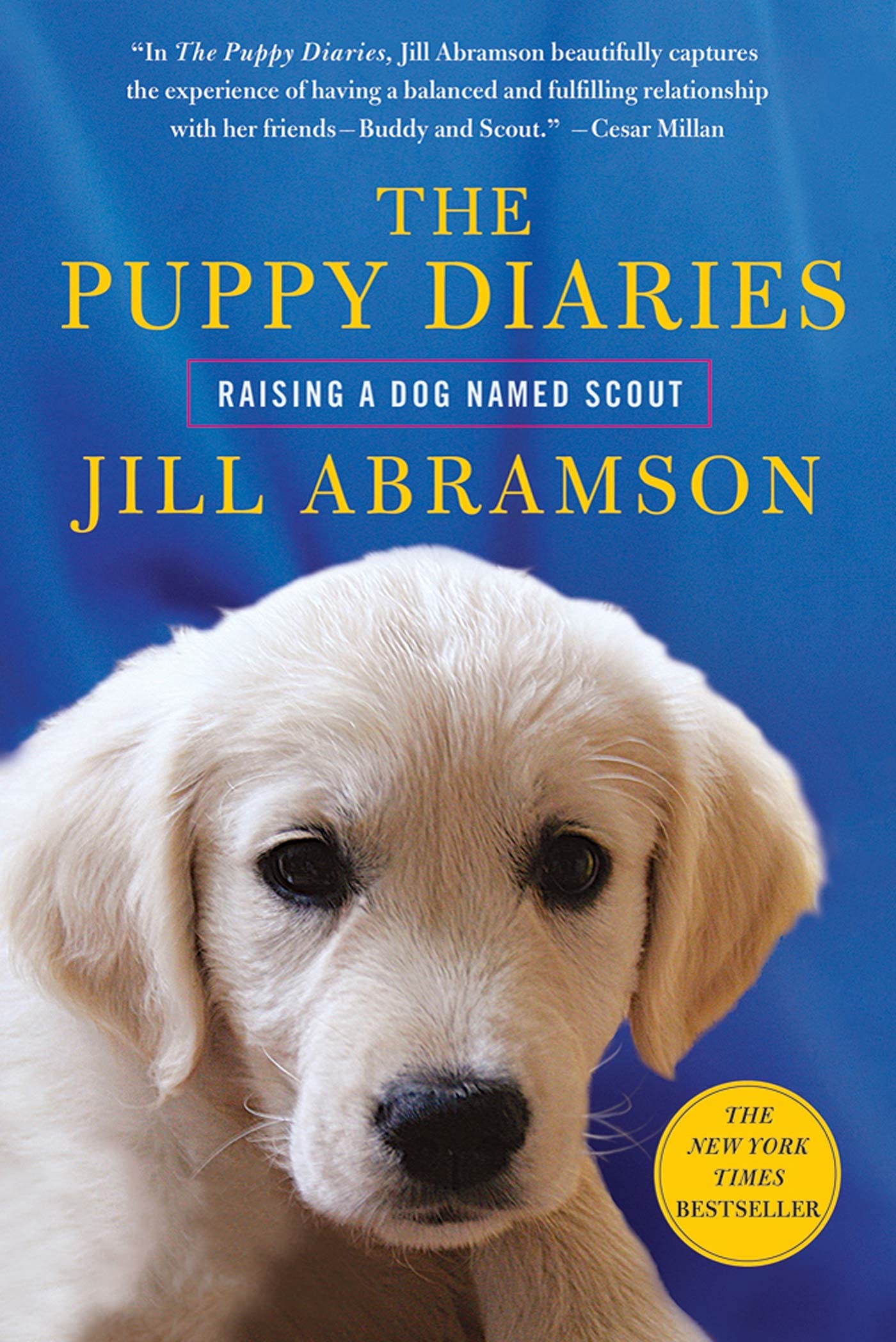 Puppy Diaries: Raising a Dog Named Scout book cover