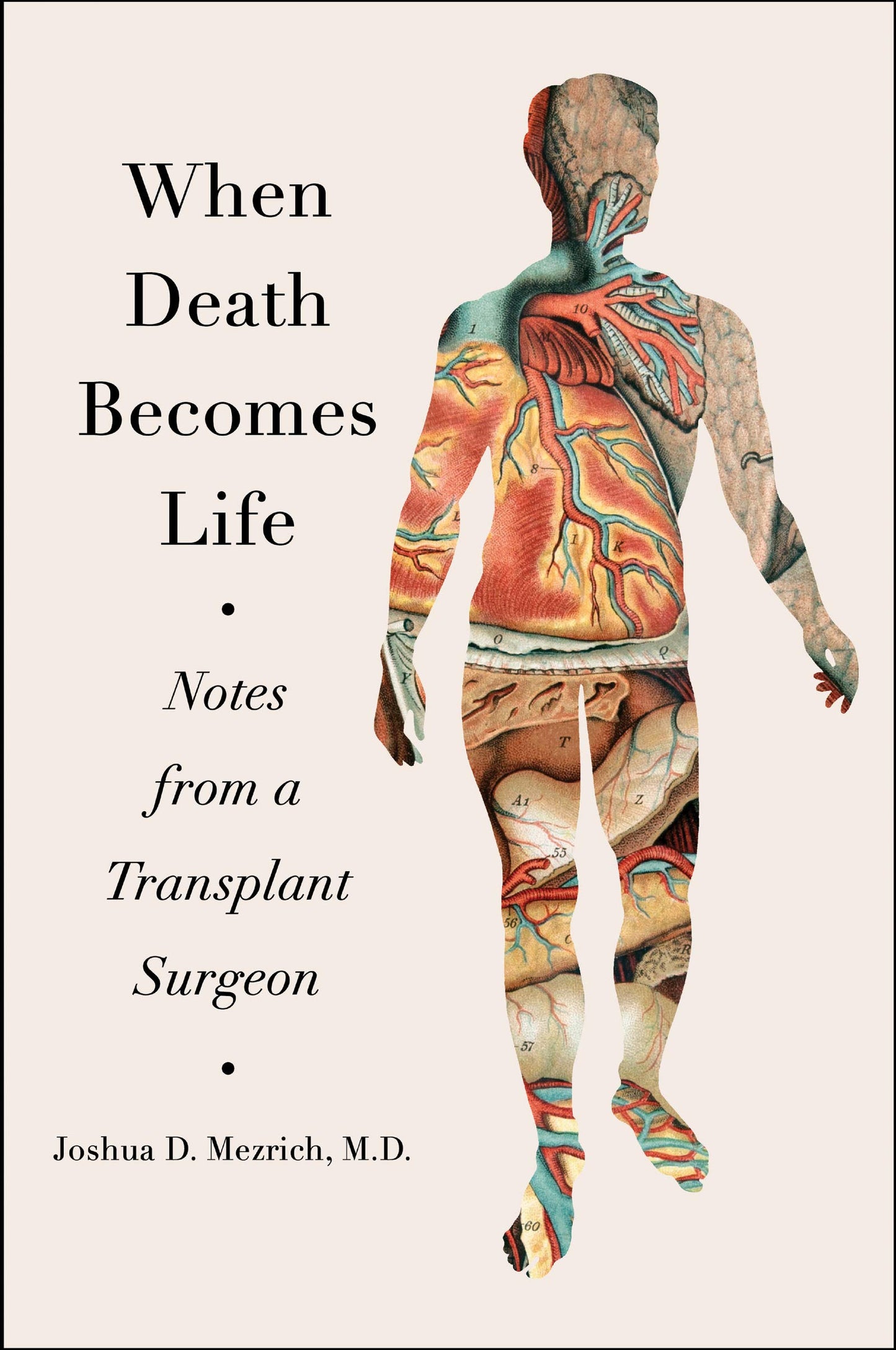 When Death Becomes Life: Notes from a Transplant Surgeon