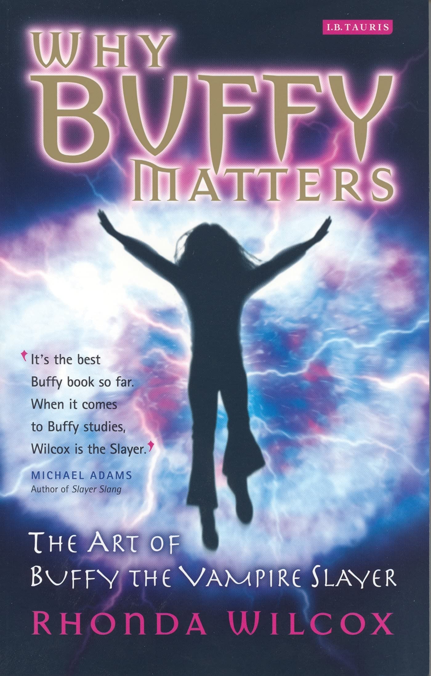 Why Buffy Matters: The Art of Buffy the Vampire Slayer (Updated and Expanded)