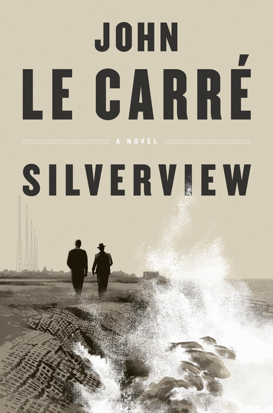 Silverview book cover