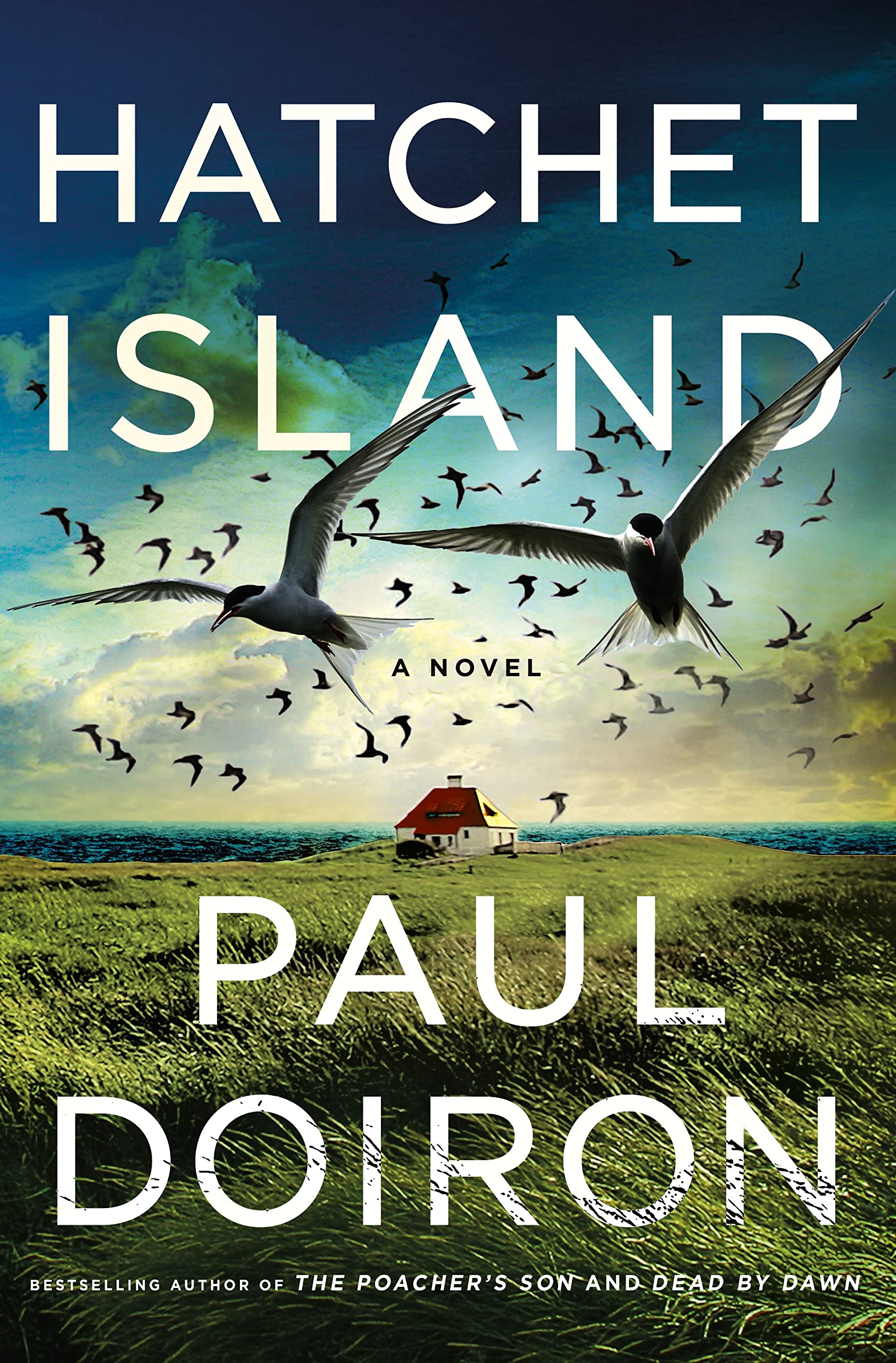 Hatchet Island book cover