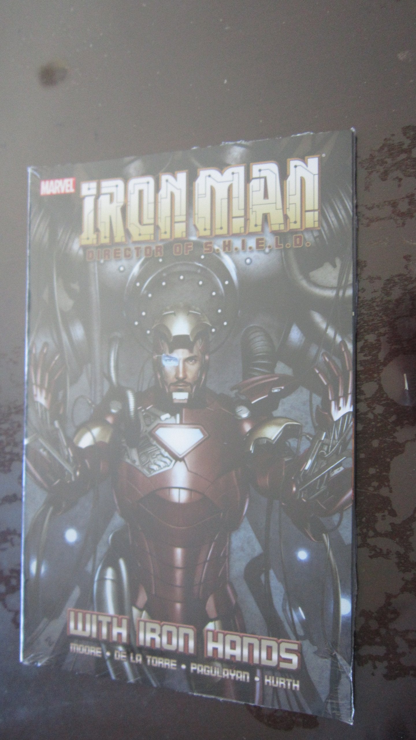 With Iron Hands book cover