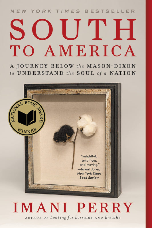 South to America: A Journey Below the Mason-Dixon to Understand the Soul of a Nation book cover