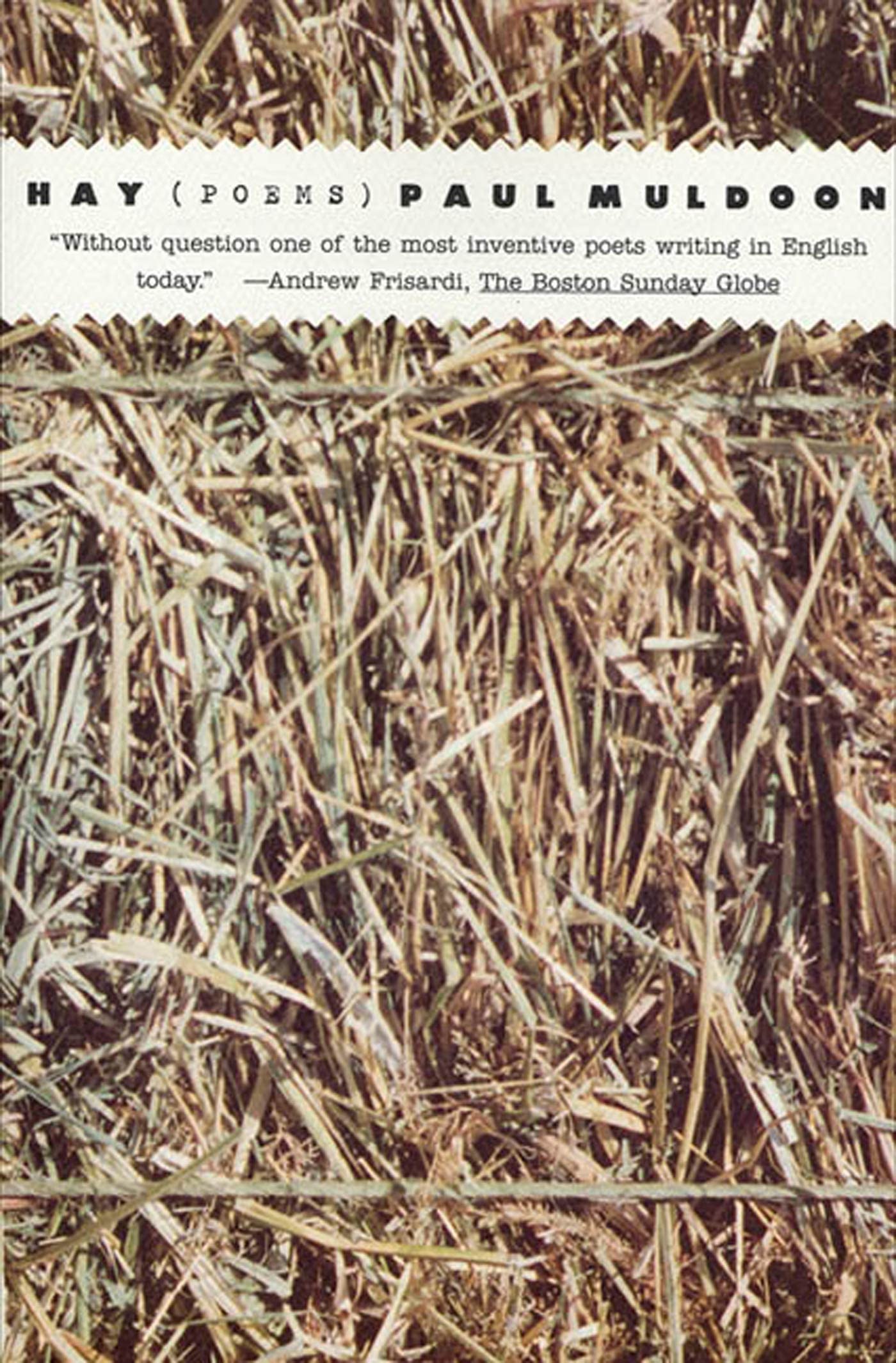 Hay: Poems book cover