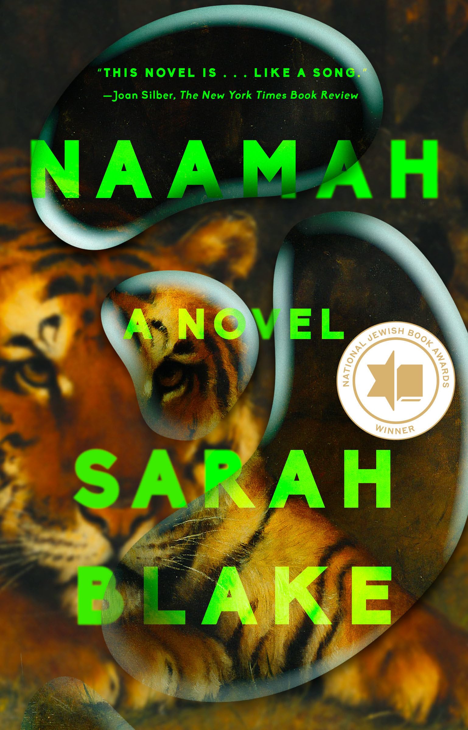 Naamah book cover