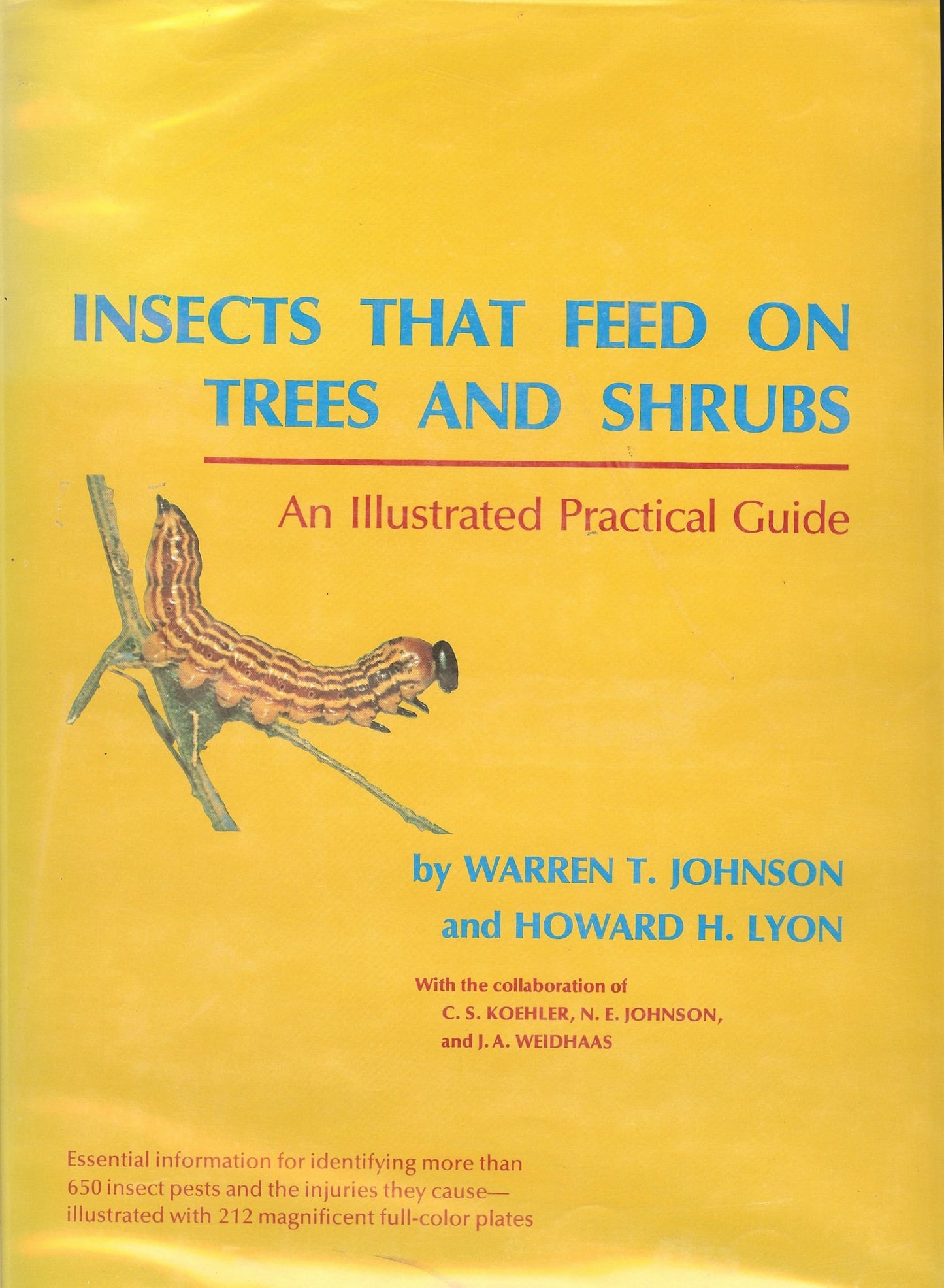 Insects That Feed on Trees and Shrubs