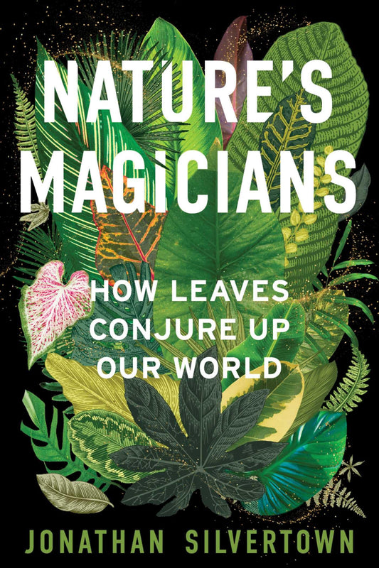 Nature's Magicians: How Leaves Conjure Up Our World book cover