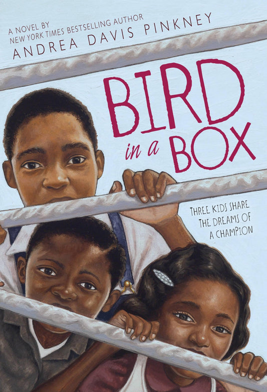 Bird in a Box book cover