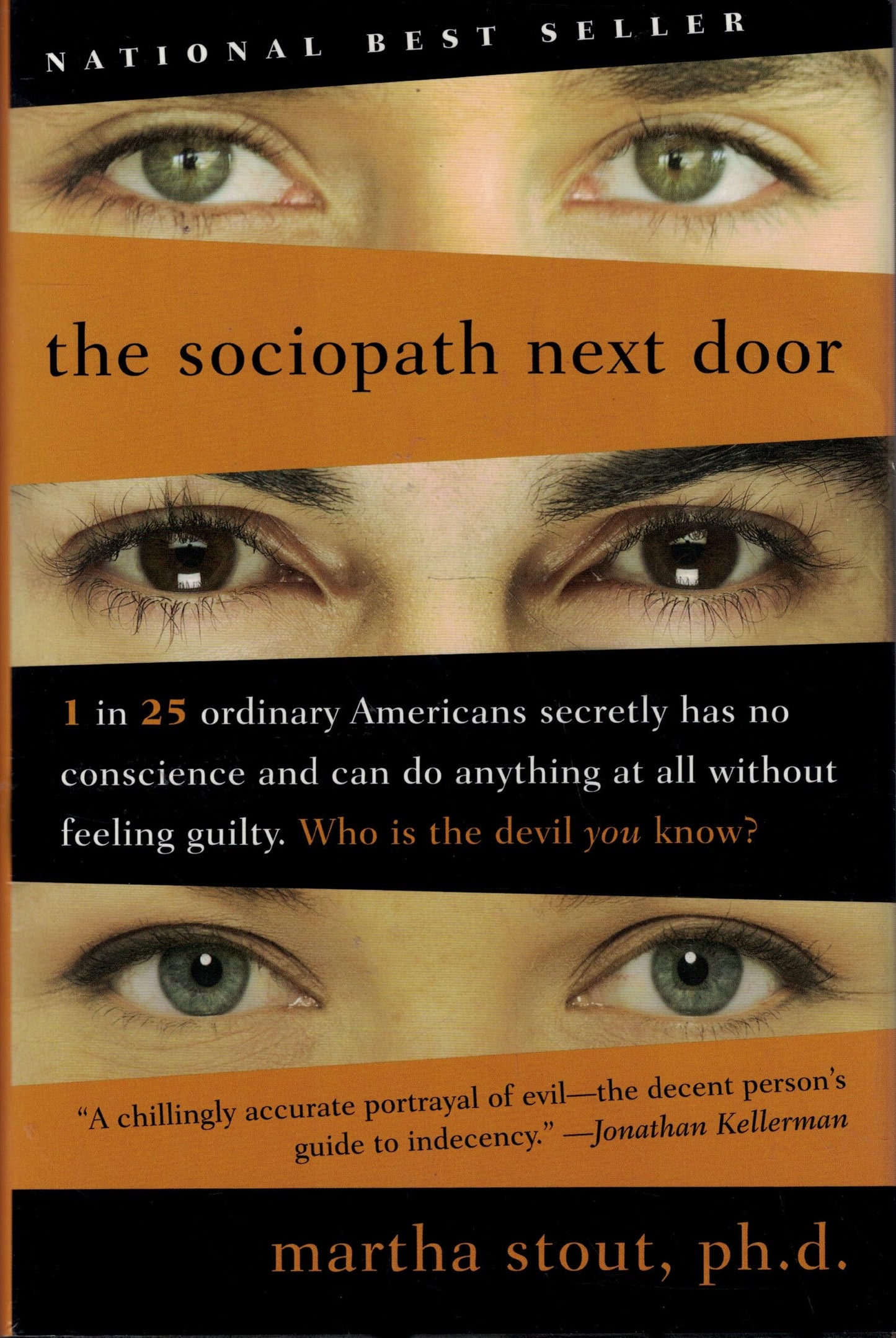 The Sociopath Next Door book cover