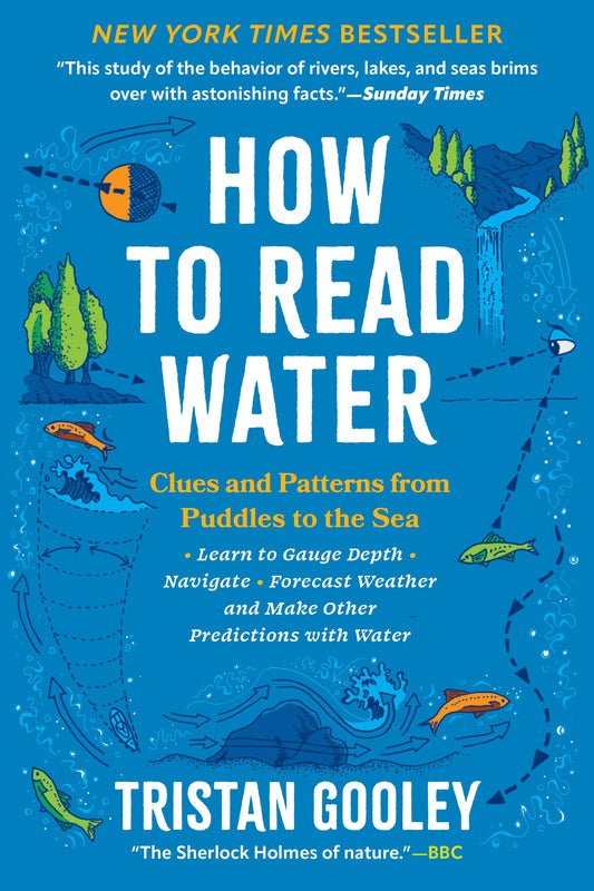 How to Read Water book cover