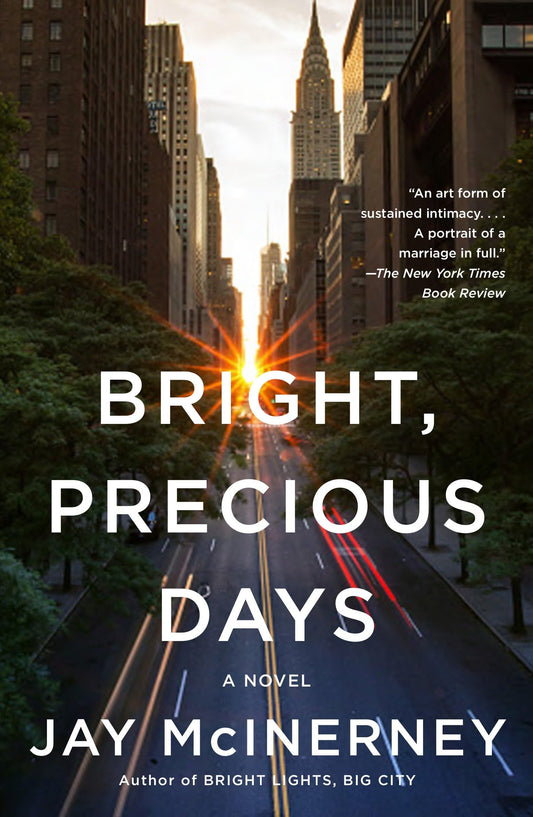 Bright, Precious Days book cover