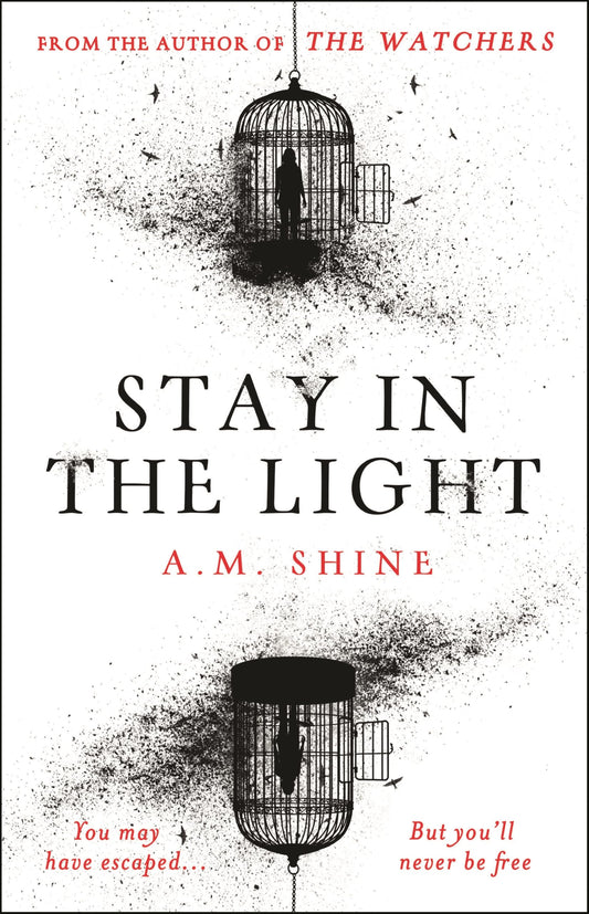Stay in the Light book cover