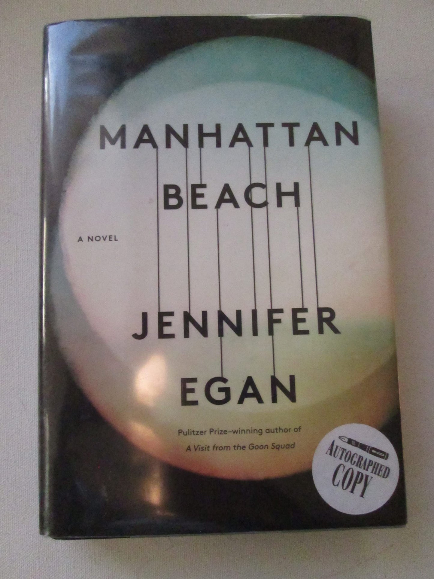Manhattan Beach book cover