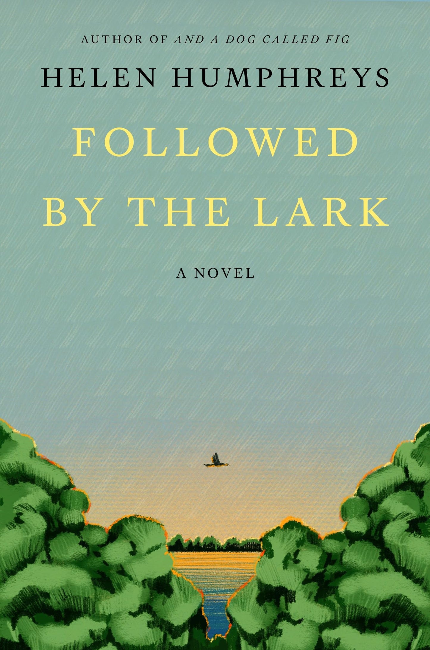 Followed by the Lark book cover