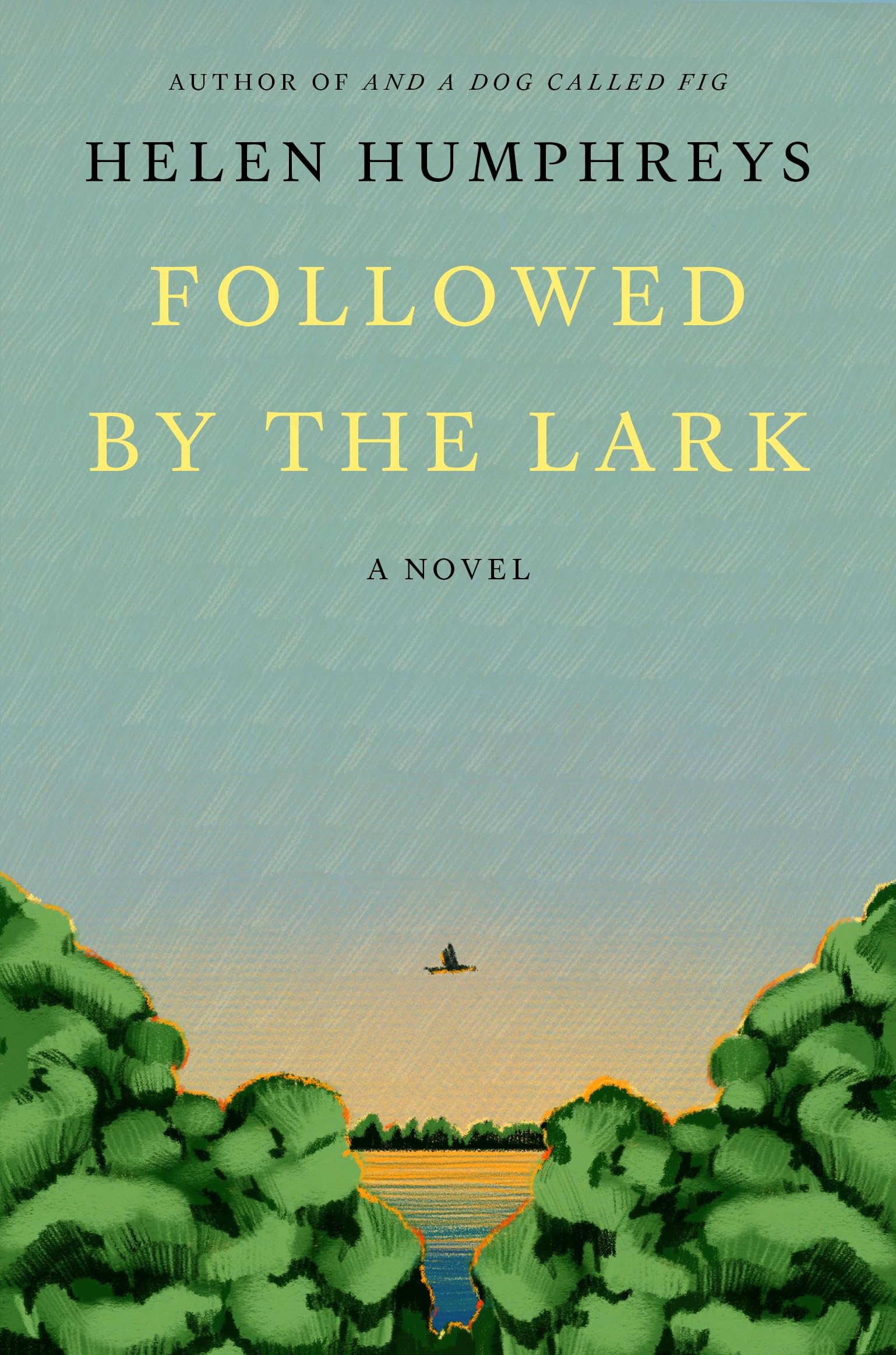 Followed by the Lark book cover