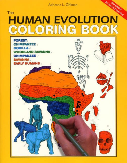 Human Evolution Coloring Book, 2nd Edition: A Coloring Book