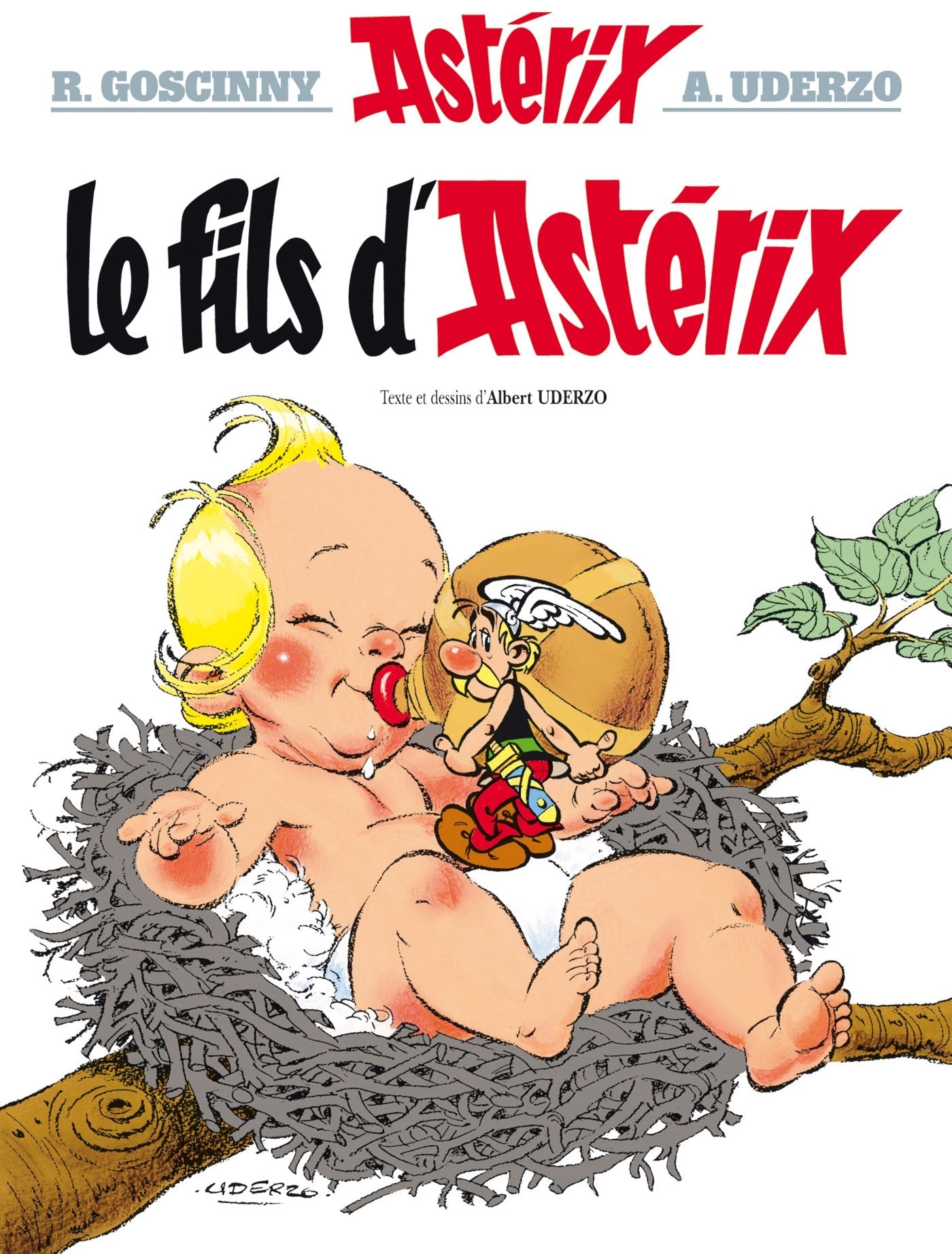 Le Fils D'Asterix book cover