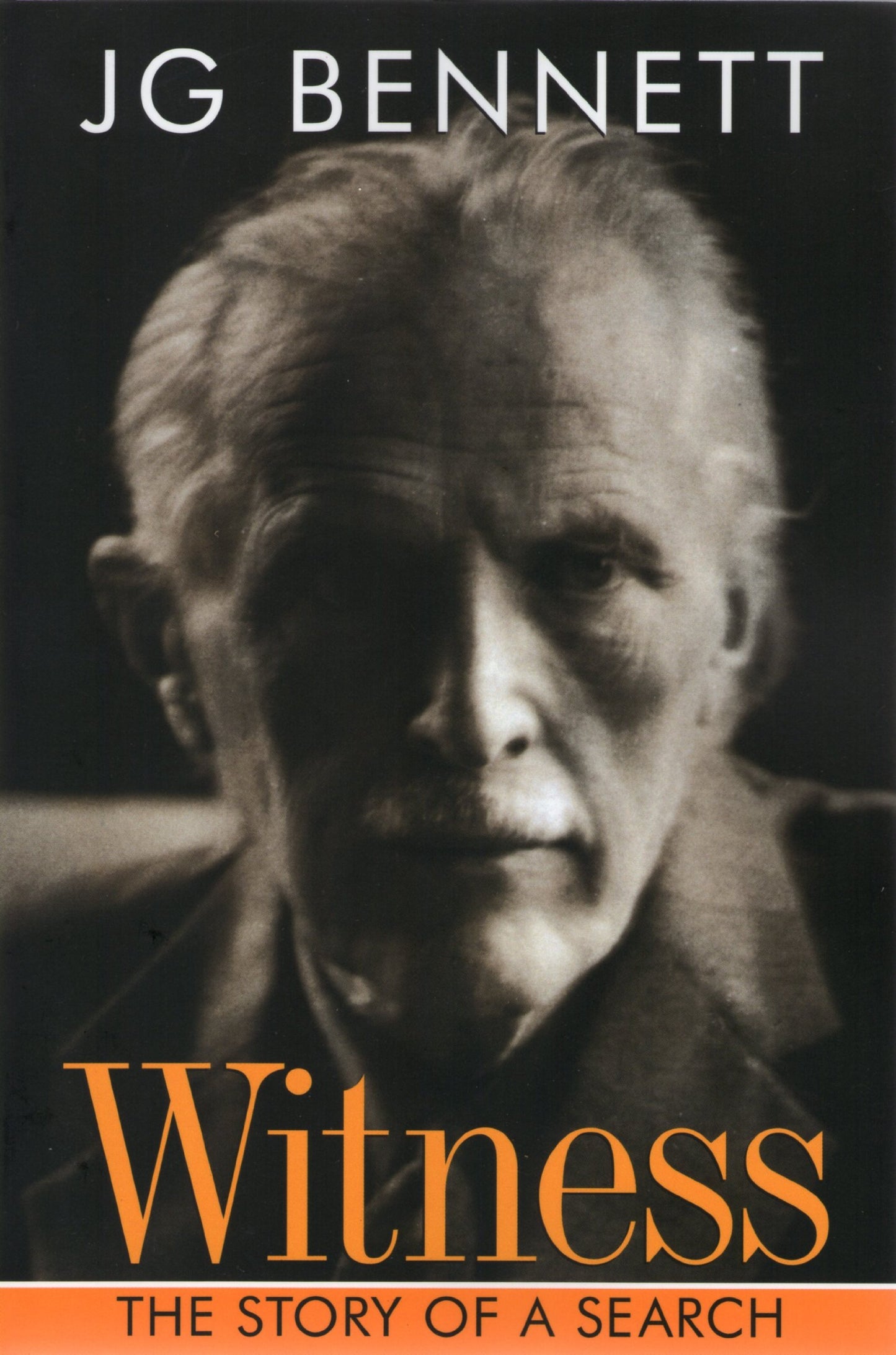 Witness: The Story of a Search (BENNETT BOOKS) book cover