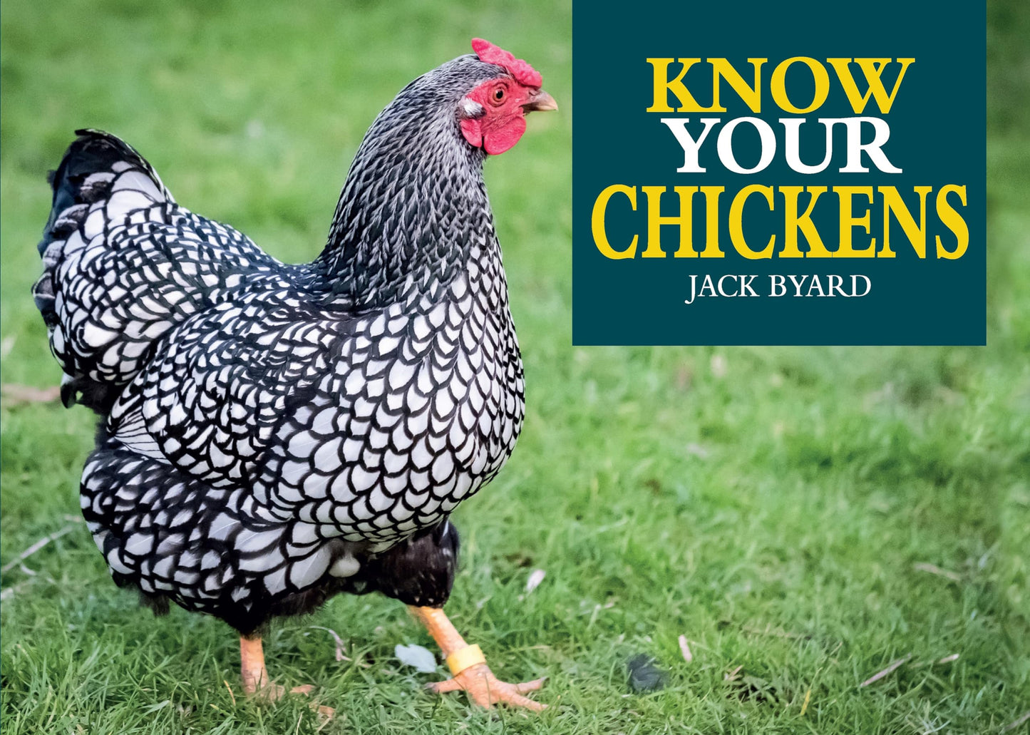 Know Your Chickens book cover