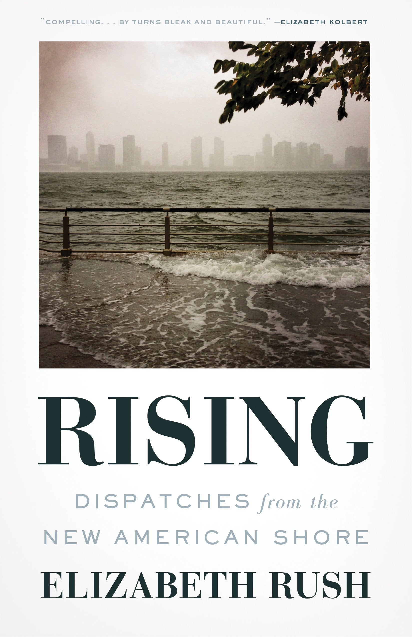 Rising: Dispatches from the New American Shore book cover