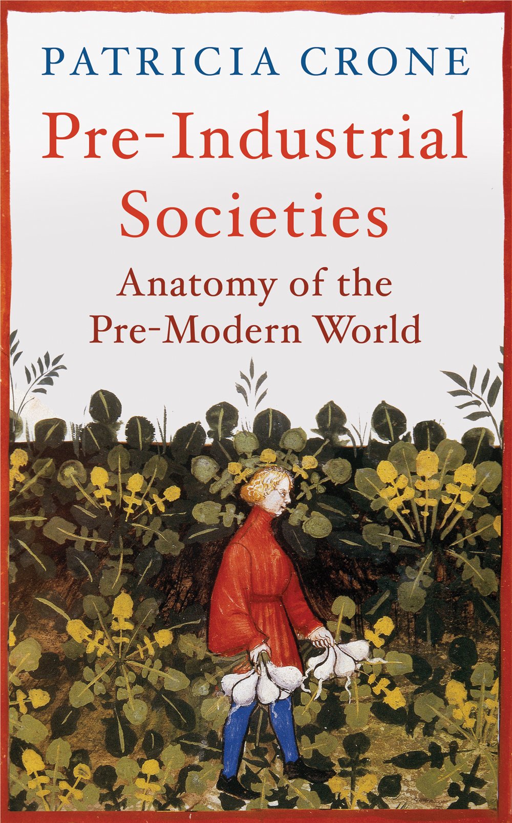 Pre-Industrial Societies: Anatomy of the Pre-Modern World book cover