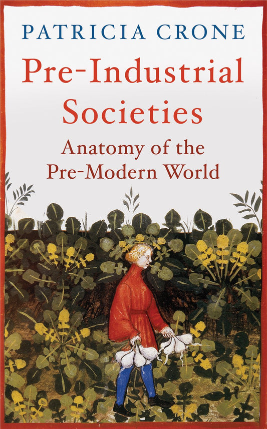 Pre-Industrial Societies: Anatomy of the Pre-Modern World book cover