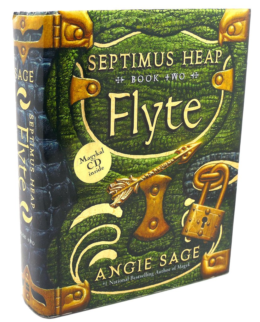 Flyte book cover